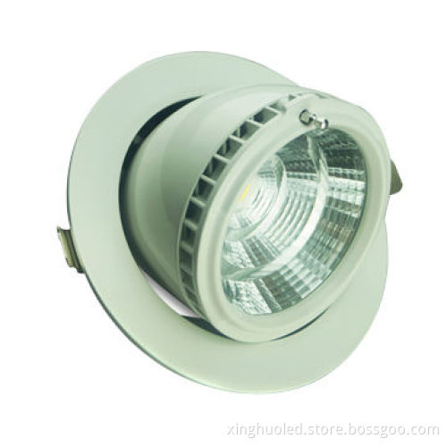 Gimbal Downlight, Sharp COB, CRI 85-90, Supply LM80 and Energy Star Test Report